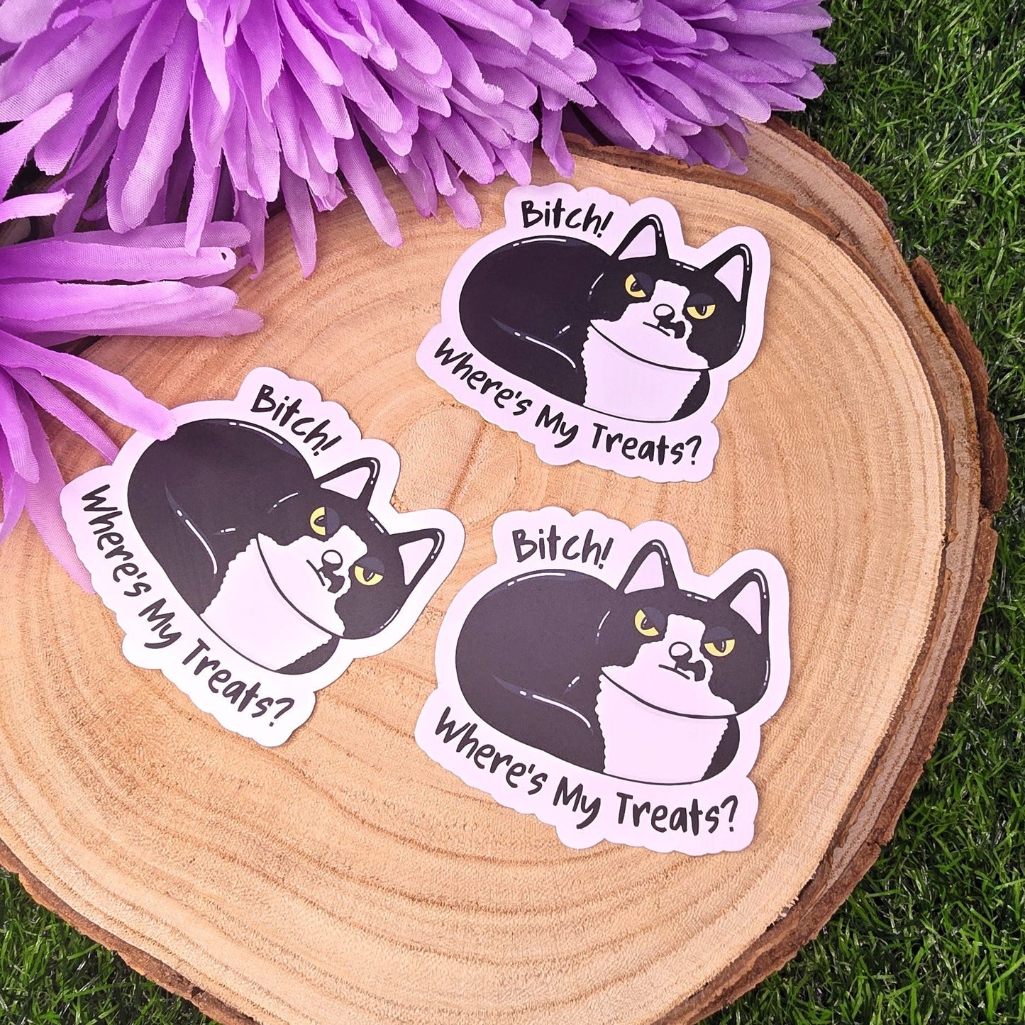 Three stickers of a black and white cat with text on a wooden surface with purple flowers.
