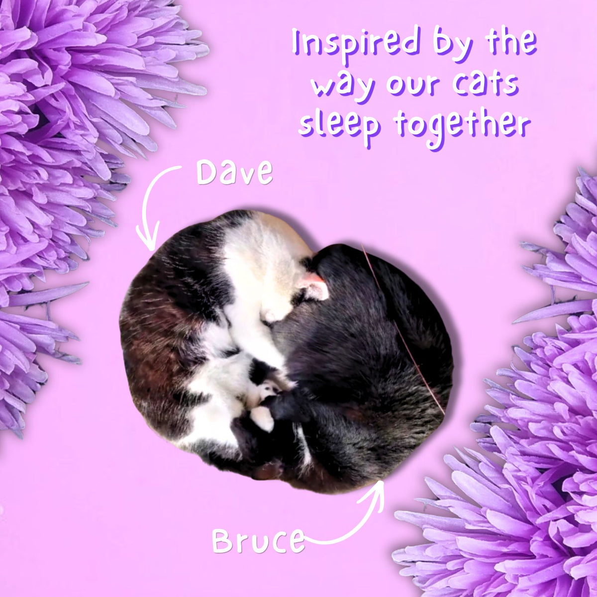 A pink graphic with purple flower borders, a circular inset photo of two cats curled up together, and text reading 'Inspired by the way our cats sleep together' with labels 'Dave' and 'Bruce'.