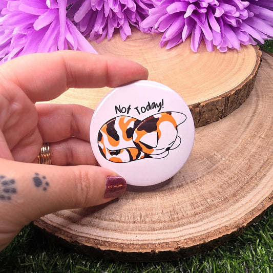Button badge with a cat illustration and 'Not today!' text held by a hand against a natural background with purple flowers.