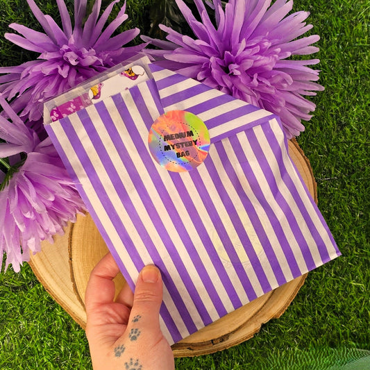 Medium Mystery Bag – Stationery Surprise Bundle - Includes Magnetic Bookmark, Large Bookmarks, Sticker Sheets & Postcard Print - Gift for Stationery Lovers