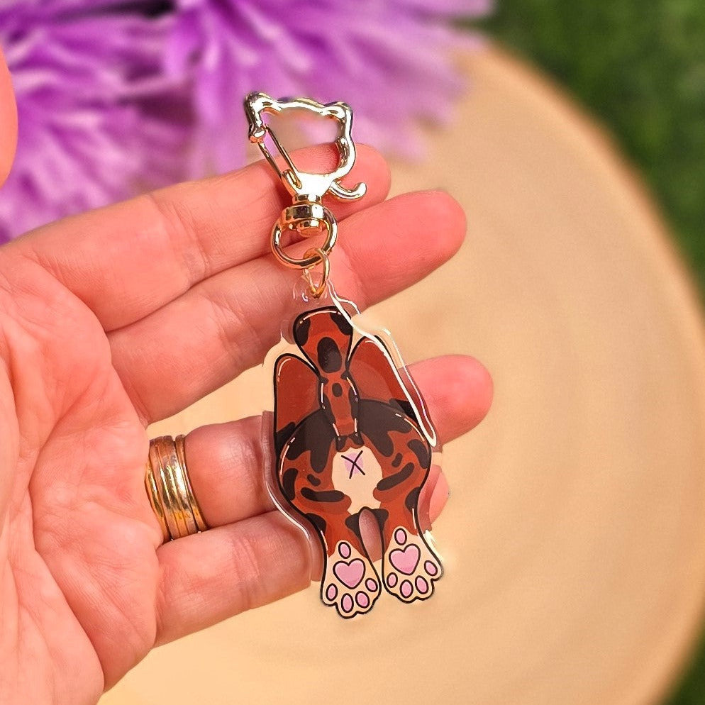 Paws & Rears Gift Set – Cat Planner Stickers, Washi Tape, Sticker Pack & Acrylic Keyring | Cute Cat Lover Gift