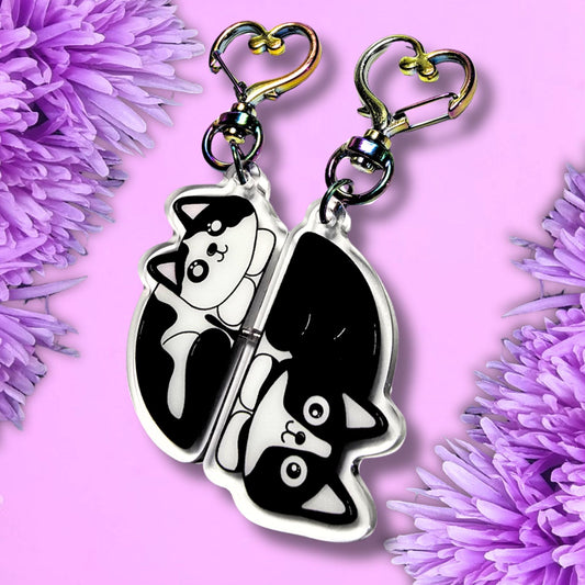 2 cats sleeping curled up together as a magnetic keyring o f 2 half’s. One cat is Bruce a tuxedo cat and the other is Dave who is white with black markings. the keyring has heart shaped iridescent coloured clasps