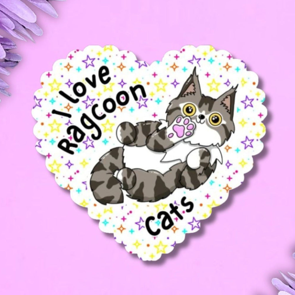 I love Ragcoon heart shaped holographic large vinyl sticker. The sticker has a scalloped edge. the cat is fluffy, grey and white colouring and s showing off its belly. Behind the cat the background is white with multi coloured stars