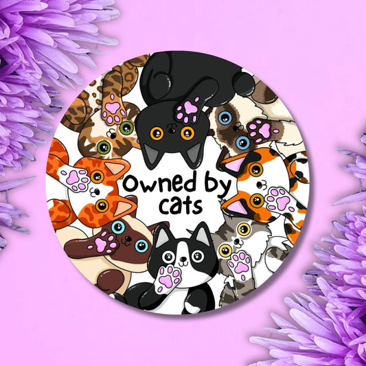 large matt vinyl sticker with the words in the middle - 'owned by cats' with lots of cats faces around the outside.