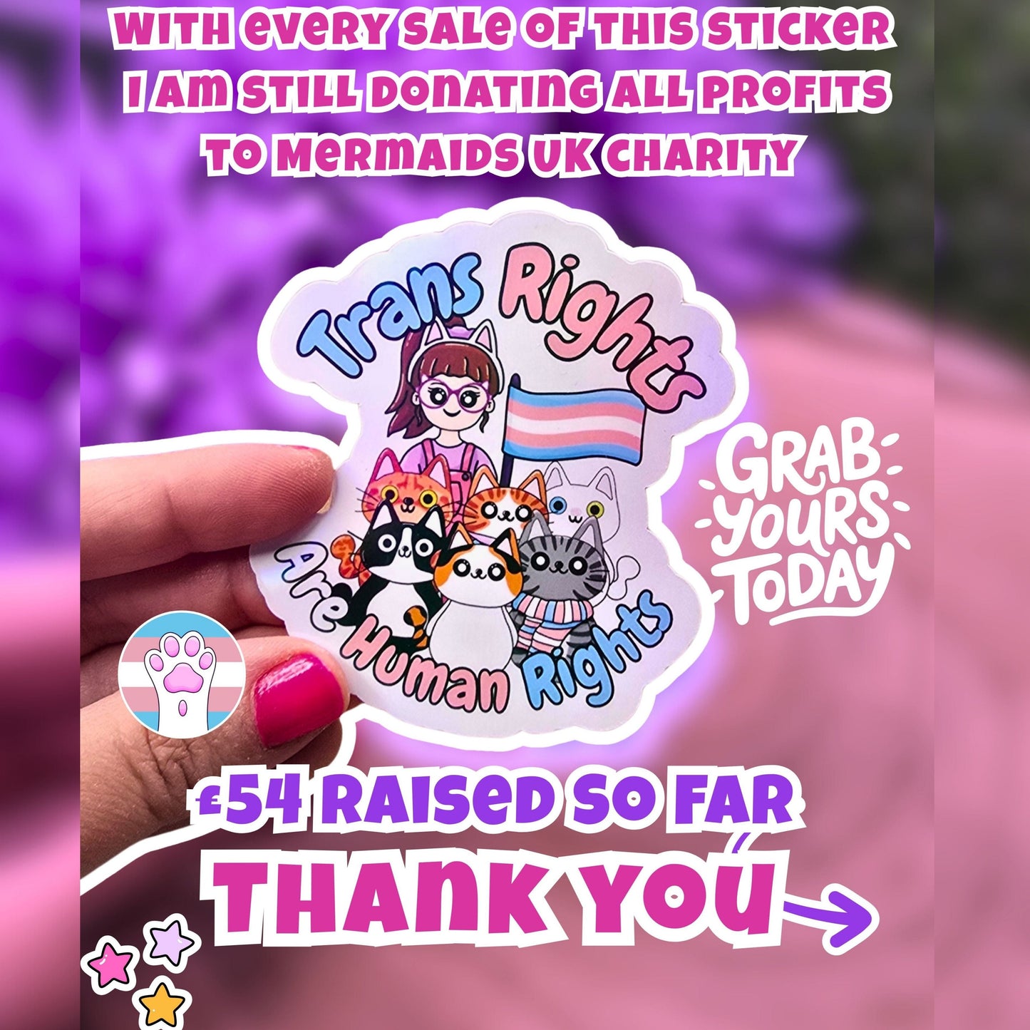 Sticker with 'Trans Rights Are Human Rights' text and cat illustrations, held by a hand with pink nail polish against a blurred purple background. 