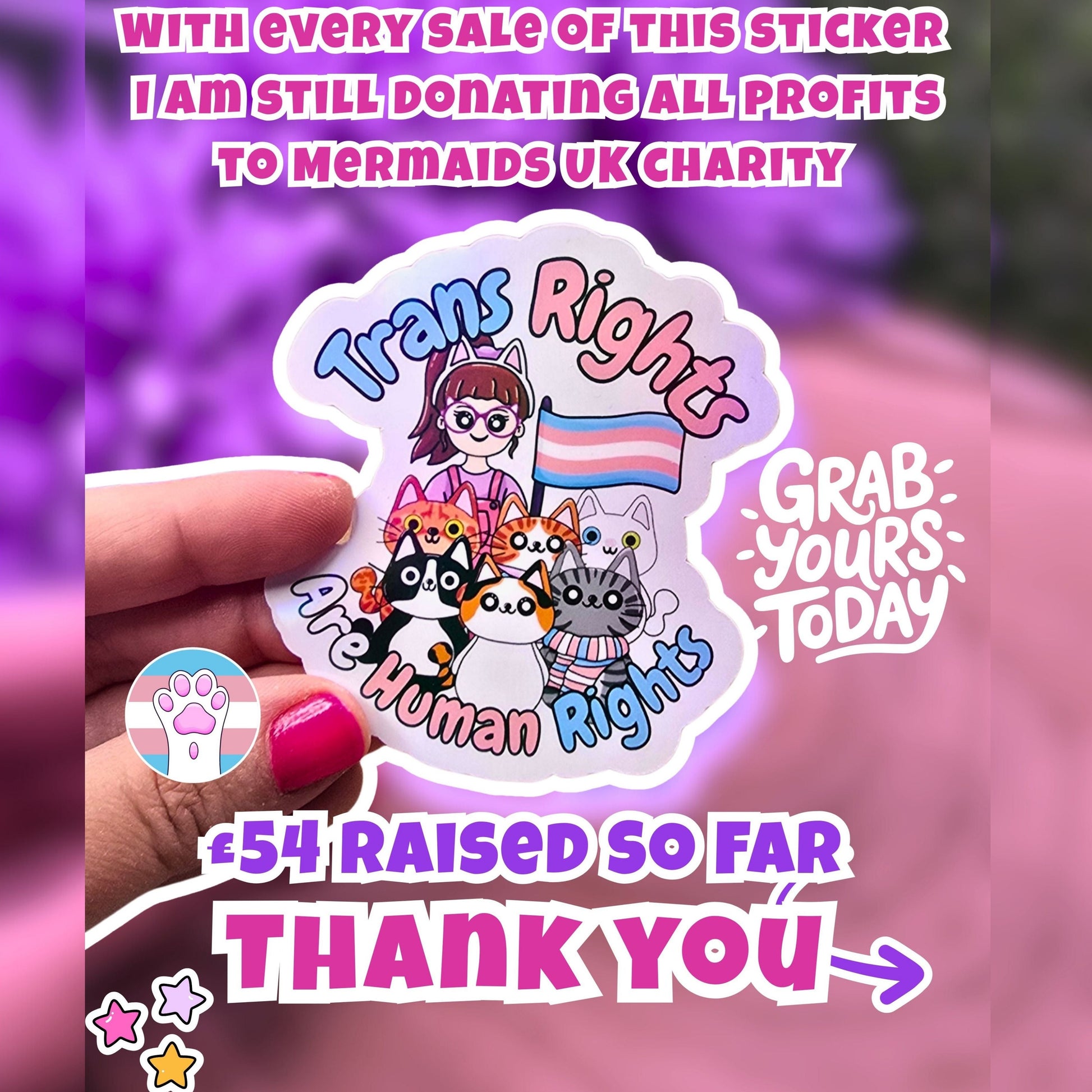 Sticker with 'Trans Rights Are Human Rights' text and cat illustrations, held by a hand with pink nail polish against a blurred purple background. 