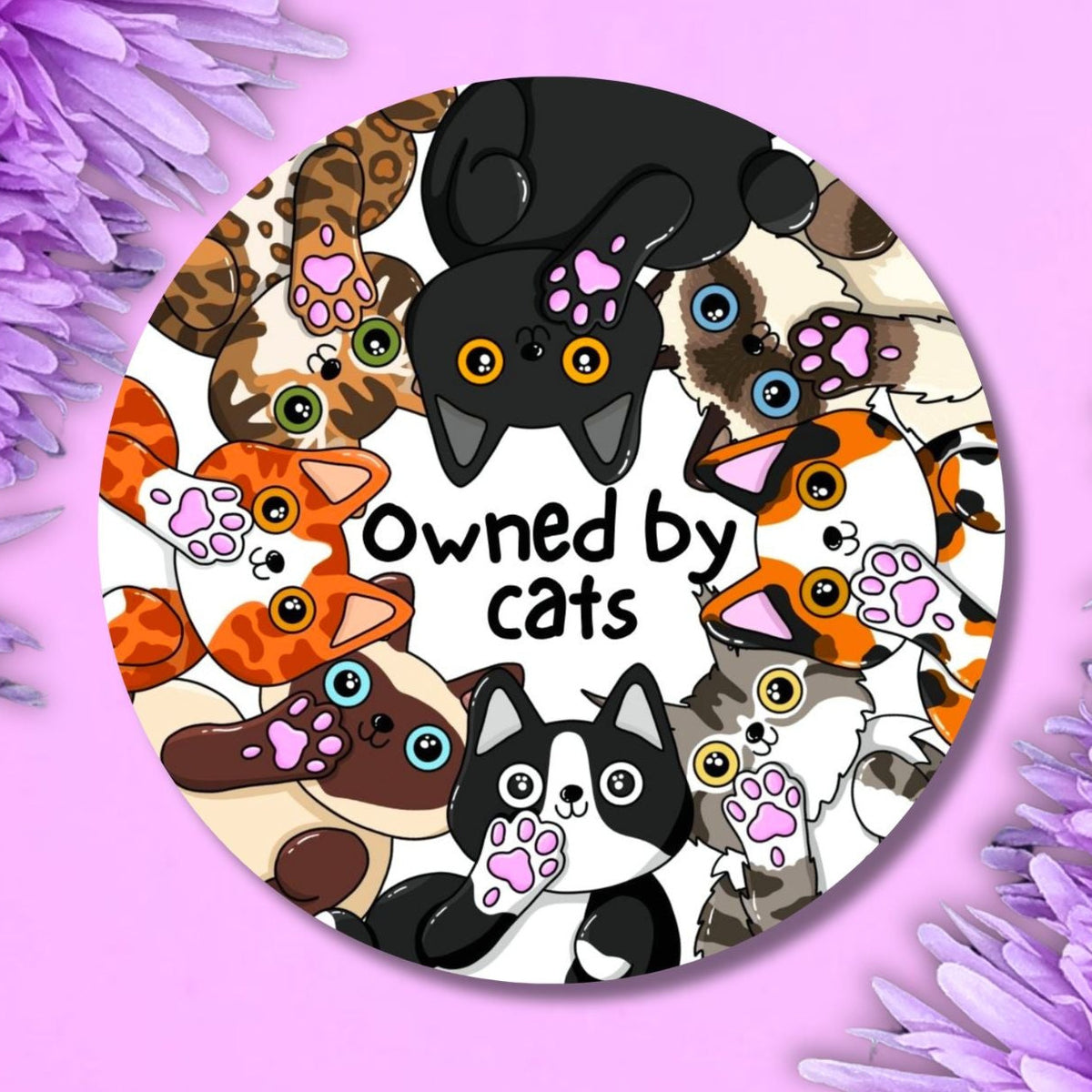 owned by cats words in the middle of the badge which is surrounded by lots of different breeds of cats around the outside of the round badge